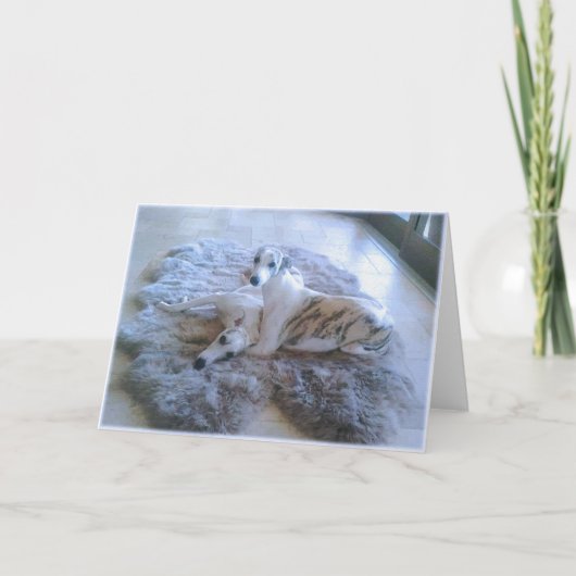 Whippet Dogs Kaart (Voorkant)