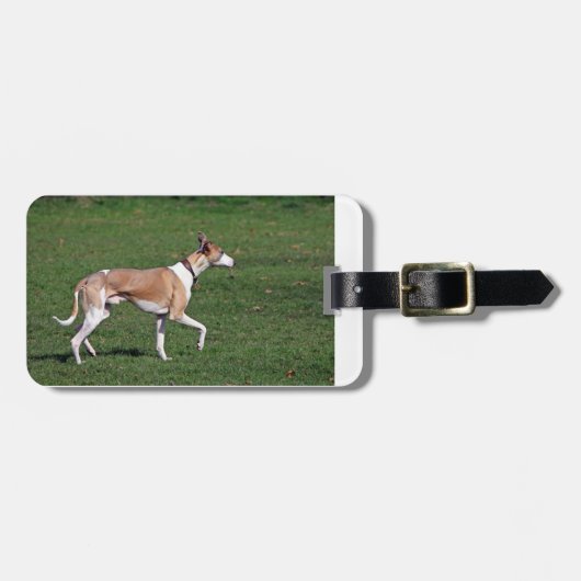 whippet full.png bagagelabel (Voorkant horizontaal)