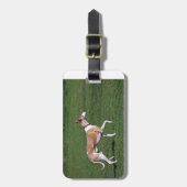 whippet full.png bagagelabel (Voorkant verticaal)