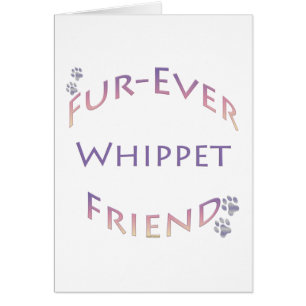 Whippet Furever Vriend