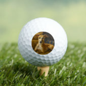 Whippet Golfballen (Insitu Shirt)