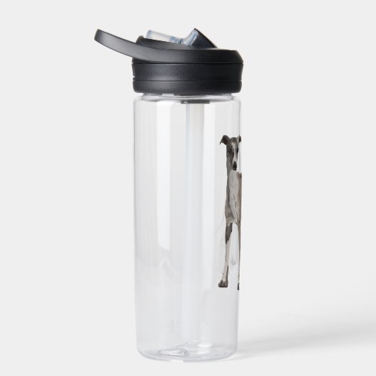 Whippet grijs en wit waterfles (Rechts)