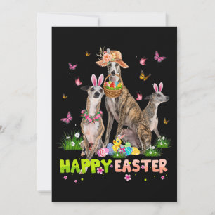 Whippet Happy Easter Bunny Eggs Easter Gift Kinder Feestdagenkaart