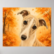 Whippet Herfst Bos Hond