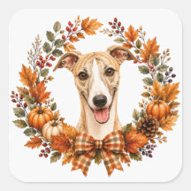 Whippet Herfstkrans