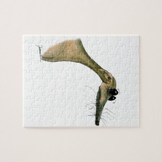 WHIPPET-hond, tony fernandes Legpuzzel (Horizontaal)