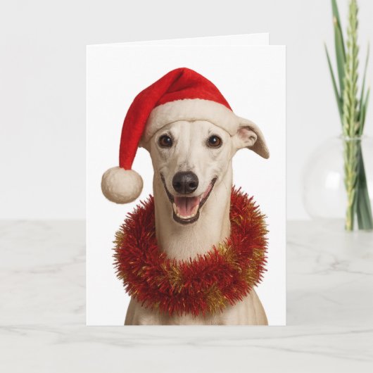 Whippet in een kerstmuts Kerstkaart Kaart (Voorkant)