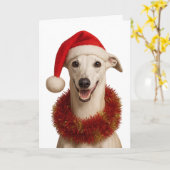 Whippet in een kerstmuts Kerstkaart Kaart (Gele Bloem)