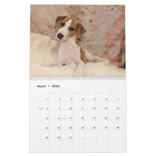 Whippet-kalender Kalender (Mar 2026)