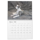 Whippet-kalender Kalender (Feb 2026)