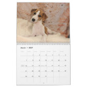 Whippet-kalender Kalender (Mar 2027)