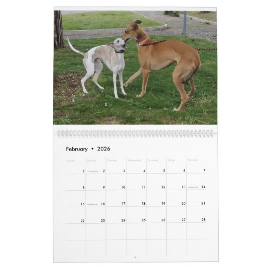 whippet-kalender kalender (Feb 2026)