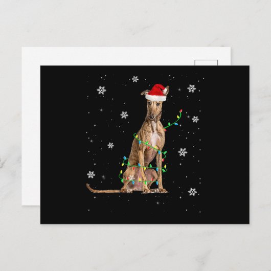 Whippet-kerstmis met lichte staart voor Kerstmis Aankondigingskaart (Voorkant / Achterkant)