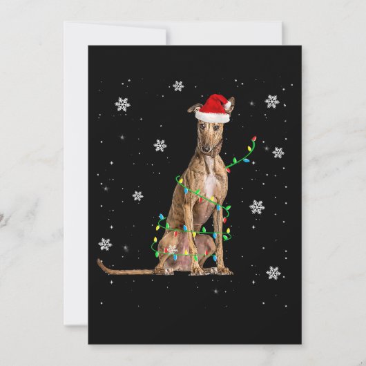 Whippet-kerstmis met lichte staart voor Kerstmis Feestdagenkaart (Voorkant)