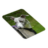 Whippet koelkastmagneet magneet (Rechterzijde)