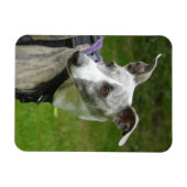 Whippet koelkastmagneet magneet (Horizontaal)