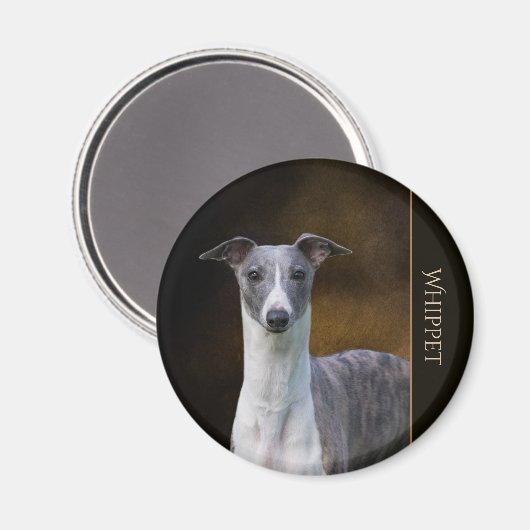 Whippet Magneet (Voorkant / Achterkant)