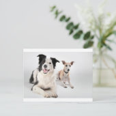 Whippet met een grenspoel briefkaart (Staand voorkant)