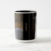 Whippet-Mok Mok (Midden)