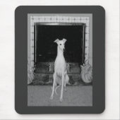 Whippet - MousePad Muismat (Voorkant)