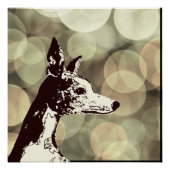 Whippet Perfect Poster (Voorkant)