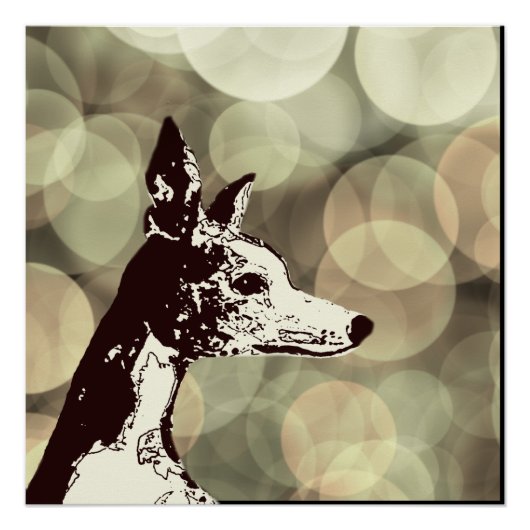 Whippet Perfect Poster (Voorkant)