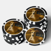 Whippet Poker Chips (Opstapeling)