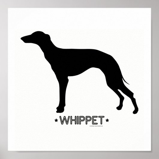Whippet Print (Voorkant)