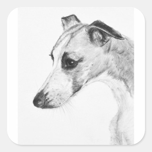 Whippet-profiel Vierkante Sticker (Voorkant)