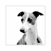 Whippet Rubberstempel (Afrduk)