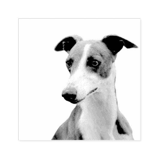 Whippet Rubberstempel (Afrduk)