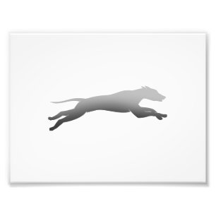 Whippet Running silhouette Foto Afdruk