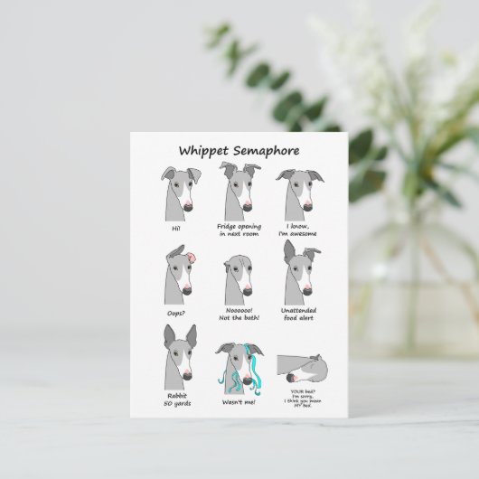 Whippet Semaphore Briefkaart (Staand voorkant)