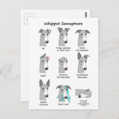 Whippet Semaphore Briefkaart (Voorkant / Achterkant)