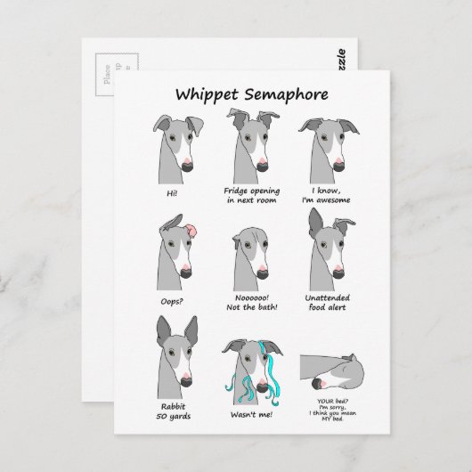 Whippet Semaphore Briefkaart (Voorkant / Achterkant)