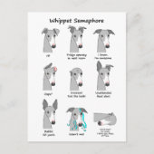 Whippet Semaphore Briefkaart (Voorkant)