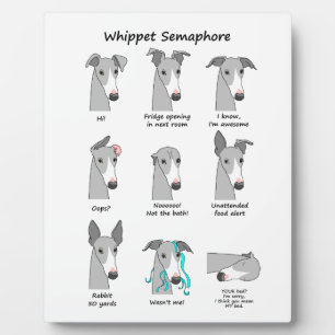 Whippet Semaphore Fotoplaat