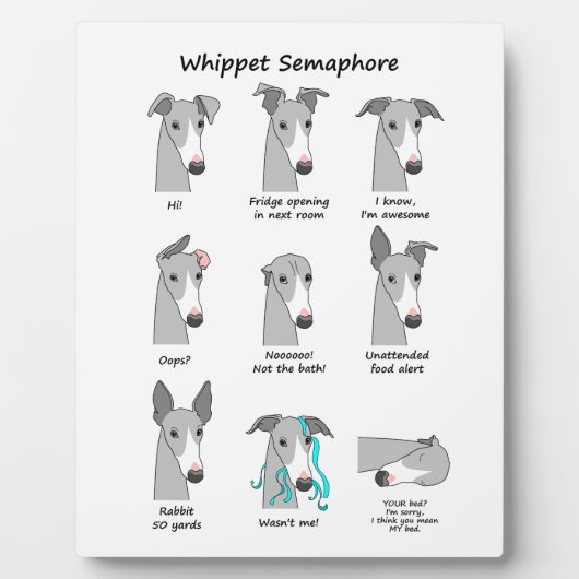 Whippet Semaphore Fotoplaat (Voorkant)
