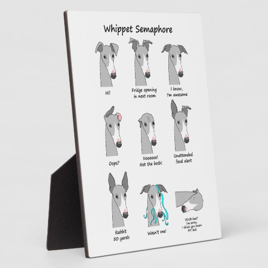 Whippet Semaphore Fotoplaat (Zijkant)