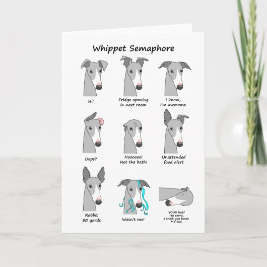 Whippet Semaphore Kaart (Voorkant)