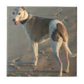 Whippet Tile Tegeltje (Voorkant)