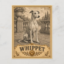 Whippet, Vintage Heritage-hond