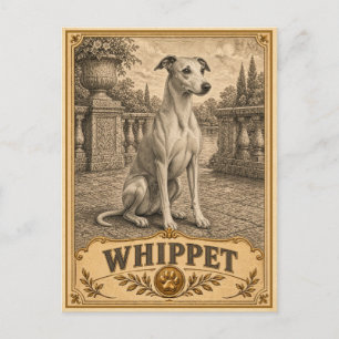 Whippet, Vintage Heritage-hond Briefkaart