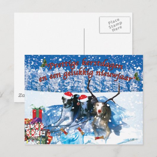 Whippetbonenkaart Briefkaart (Voorkant / Achterkant)