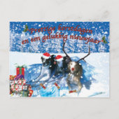 Whippetbonenkaart Briefkaart (Voorkant)