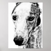 Whippethond Poster (Voorkant)