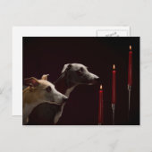 Whippets at Christmas Feestdagenkaart (Voorkant / Achterkant)