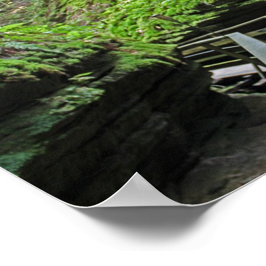 Whirlpool Chambers Witches Gulch Wisconsin Dells Poster (Hoek)