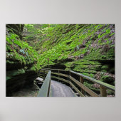 Whirlpool Chambers Witches Gulch Wisconsin Dells Poster (Voorkant)