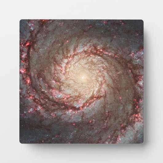 Whirlpool Galaxy Fotoplaat (Voorkant)